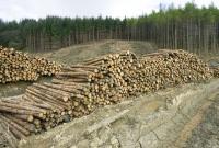 В Кабмине создали реестр для получения разрешений на рубку леса