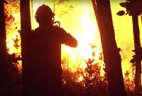 В Мексике вспыхнул масштабный лесной пожар, есть жертвы
