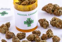 Нижняя палата парламента Франции одобрила закон о медицинской марихуане