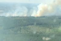 Возле Чернобыльской зоне загорелся лес, для тушения огня привлекли авиацию (видео)