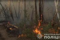 Пожар в Чернобыльской зоне устроила "мстительница": подробности поджога