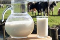 Производство молока в Украине сократилось на 3,5%