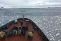 В Арктике моржи атаковали российский флот и утопили их катер