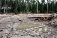 Кабмин взялся за добычу янтаря в Украине: что изменится