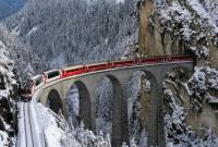 В Австрии поезд врезался в поваленное дерево и остановился