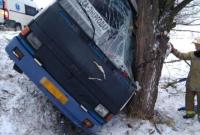 Через негоду на Херсонщині рейсовий автобус з'їхав у кювет, є поранені