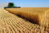 В прошлом году увеличился аграрный экспорт Украины в ЕС