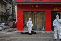 Эпидемия коронавируса: российский посол в Китае заявил, что РФ "готова эвакуировать украинцев"