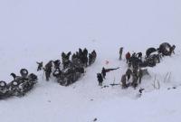 Схода лавин в Турции: число погибших возросло до 38 человек