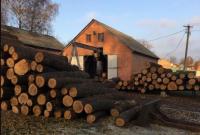 В Харьковской области будут судить 8 чиновники лесхоза, нанесших ущерб государству на сумму около 100 млн грн