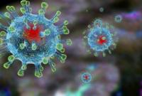 В Украине не подтверждено ни одного случая заболевания на новый коронавирус - МОЗ