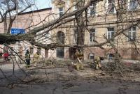 Непогода в Одесской области: без света 224 населенных пункта, повреждено - более 100 авто