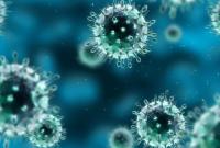 Количество умерших от коронавируса в Иране увеличилось до 15