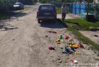 В Житомирской области пьяный водитель сбил двух малолетних детей