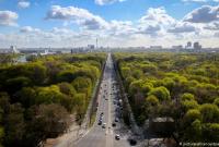 Озеленення міст: як дерева сприяють психічному здоров'ю містян і не тільки