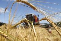 Минэкономики и участники зернового рынка согласовали предельные объемы экспорта пшеницы