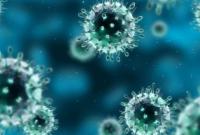 В Украине зафиксировано 1096 случаев коронавирусной болезни