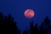 Рожевий Місяць 8 квітня: у чому особливість найбільшого Супермісяця року (відео)