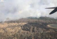 В Кабмине призывают украинцев не сжигать сухую растительность
