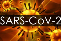 Вчені розповіли, чому коронавірус SARS-CoV2 спровокував пандемію