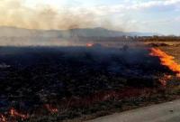 В Закарпатской области горел заповедник: поджигателю сообщили о подозрении