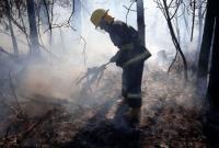 В Житомирской области спасатели не успели потушить поджог травы, как граждане снова ее подожгли