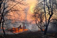 Пожар в Чернобыльской зоне уже уничтожил 12 бывших сел, огонь вплотную приблизился к АЭС (видео)
