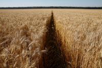 Україна може собі дозволити збільшувати експорт продовольства, - торгпред