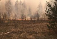 Последствия пожара в зоне ЧАЭС обойдутся Украине в 145 млн гривень