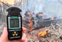 Пожар в Чернобыльской зоне: радиационный фон в Киеве в пределах нормы