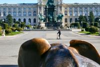Постепенное открытие школ в Австрии продлится месяц