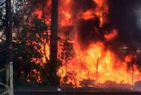 Пожары в Житомирской области: продолжается тушение отдельных очагов