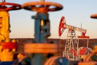 В "Нафтогазе" посчитали, сколько можно зарабатывать на хранении импортной нефти