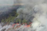 На Житомирщині виникла нова лісова пожежа: полум'я розповсюдилося на природний заповідник