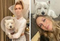 Леся Никитюк поделилась забавным фото: телеведущая поддержала свою собаку после операции