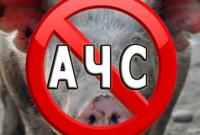 На Кіровоградщині виявили трупи свиней, інфікованих АЧС