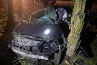 В Николаевской области автомобиль слетел с трассы и врезался в дерево