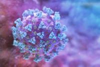 В ВОЗ прогнозируют продолжение мутации коронавируса