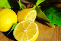 На Львівщині родина фермерів вирощує гігантські лимони та лайми
