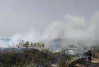 В Днепропетровской области вспыхнул пожар в экосистеме