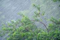 В Ровенской области непогода подтопила села и повалила деревья