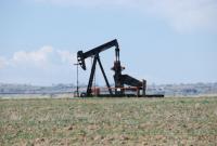 Страны ОПЕК+ планируют увеличить объемы добычи нефти, - Bloomberg