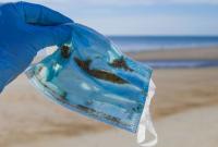 Из-за пандемии COVID-19 в мире резко возросло число пластиковых отходов