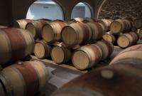 Дезинфектор из вина: ЕС профинансирует беспрецедентные меры по ликвидации последствий пандемии
