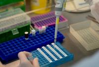 В Германии резко возрос коэффициент заражения коронавирусом