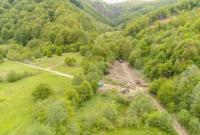 В Украине проведут инвентаризацию лесов впервые с 1996 года