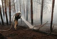 В Чернобыльской зоне снова горел лес: пожар локализовали, остались только очаги тления