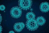 Во Львовской области зафиксировали в целом более 5 тысяч случаев инфицирования коронавирусом