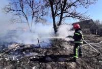 В Житомирской области во время сжигания травы погибла 79-летняя женщина
