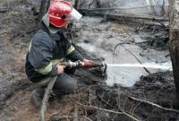 Спасатели продолжают тушить очаги тления под Чернобылем и на Житомирщине